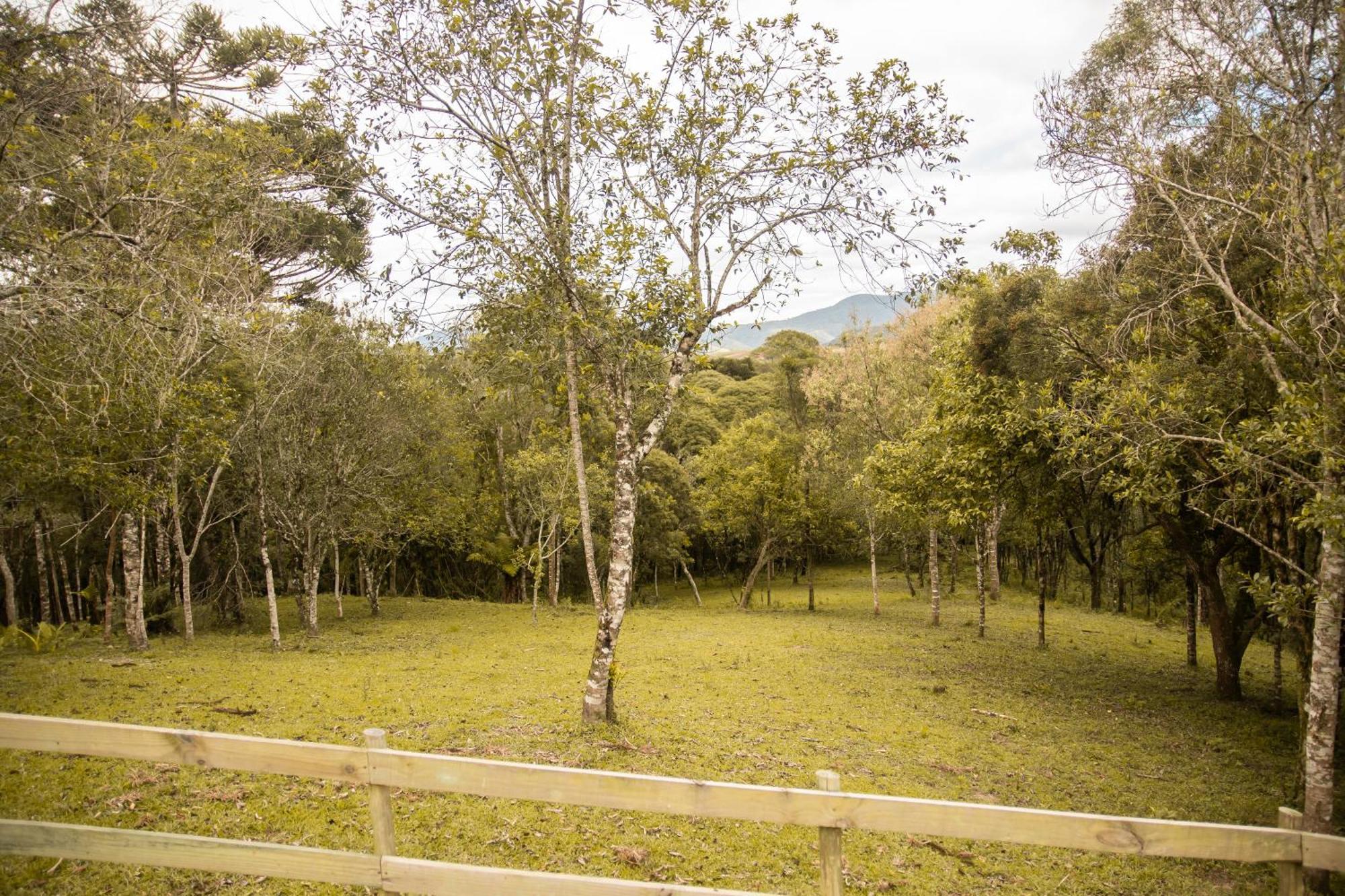 Cabana Com Hidromassagem Bom Retiro  Exterior foto